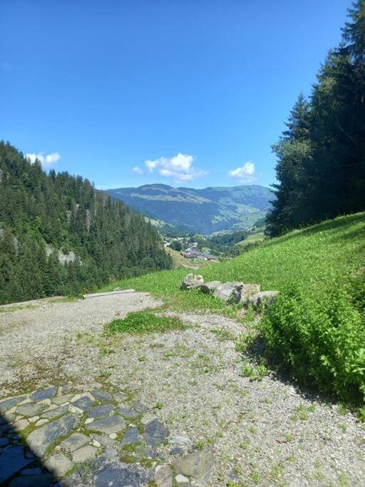 L'Appartement Les Bossons En Lisiere De Foret Dans Le Chalet Genepi 아레체스 외부 사진